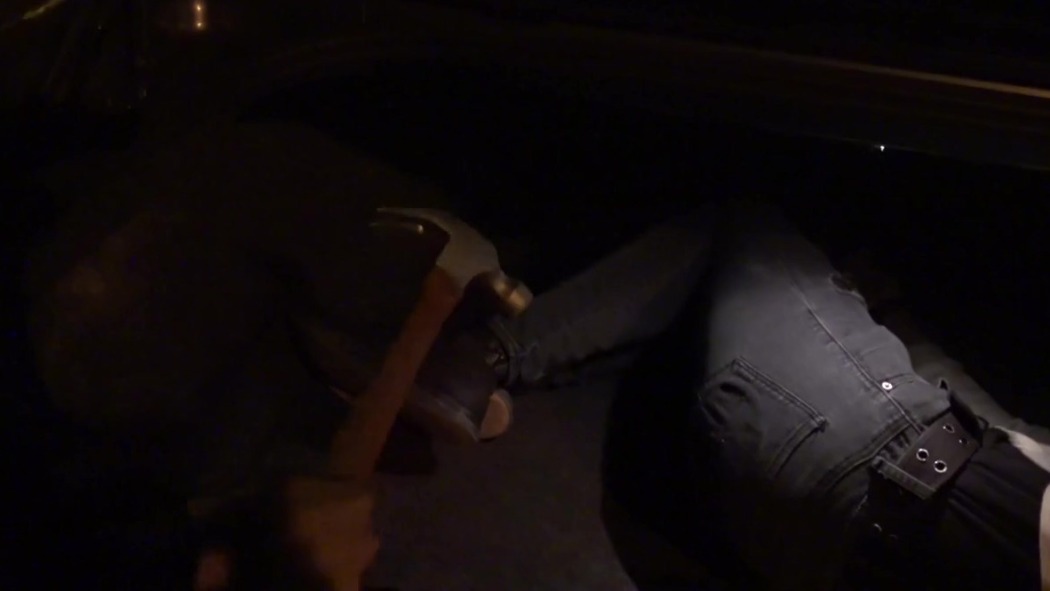 ნაშვილები  ქართულად -  The Adopted One