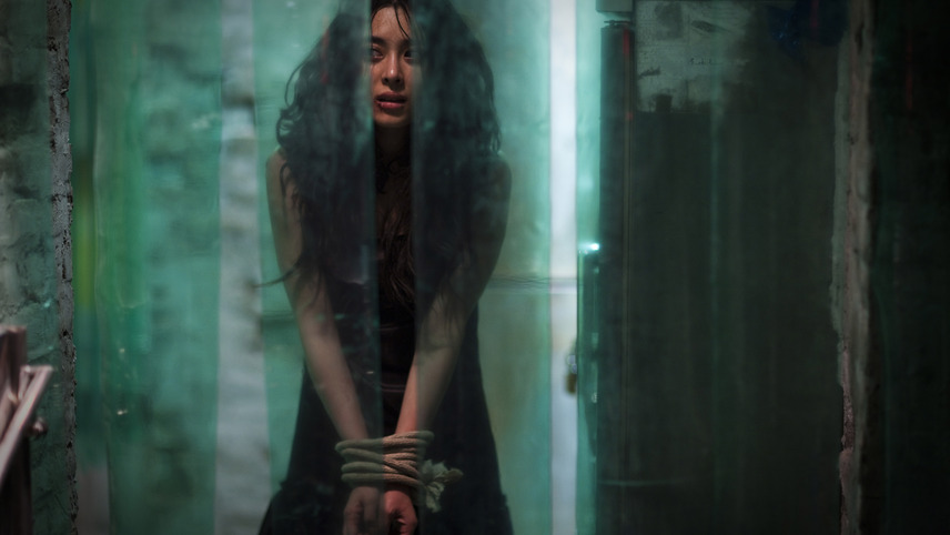 მე ვნახე ეშმაკი  ქართულად -  I Saw the Devil