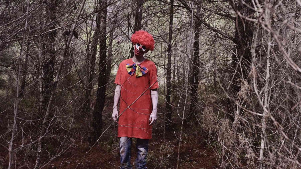 კლოუნები ტყეში  ქართულად -  Clowns in the Woods