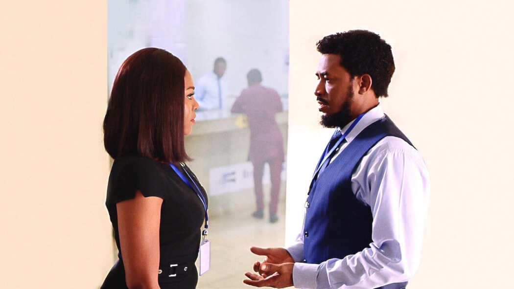 შესანიშნავი ღვინო  ქართულად -  Fine Wine