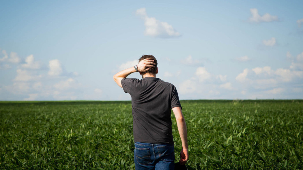 მადალენა  ქართულად -  Madalena