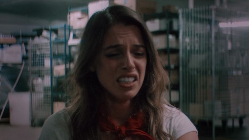 თავშესაფარი ადგილზე  ქართულად -  Shelter in Place