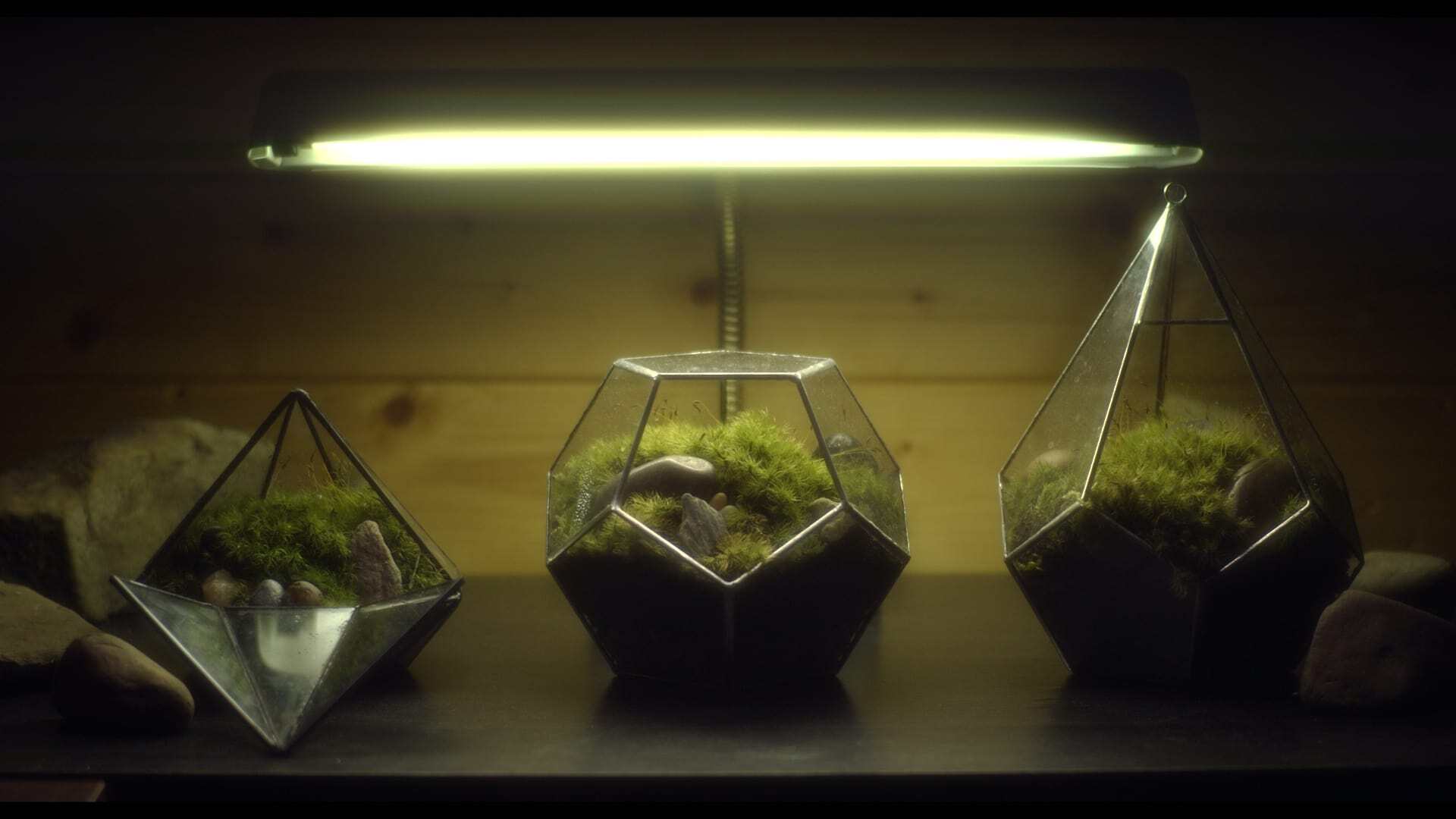 მკრთალი ხეობა  ქართულად -  A Dim Valley