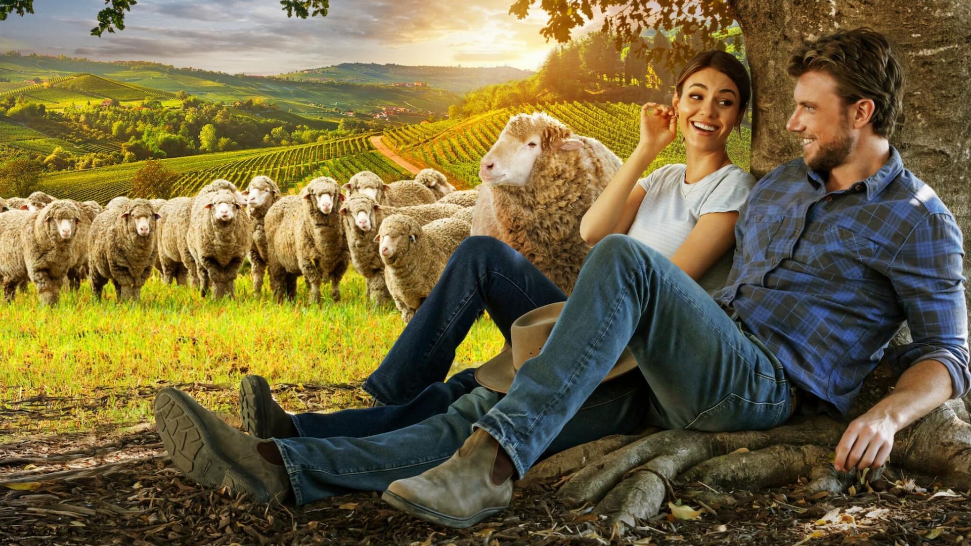 A Perfect Pairing  ქართულად -  Идеальное сочетание