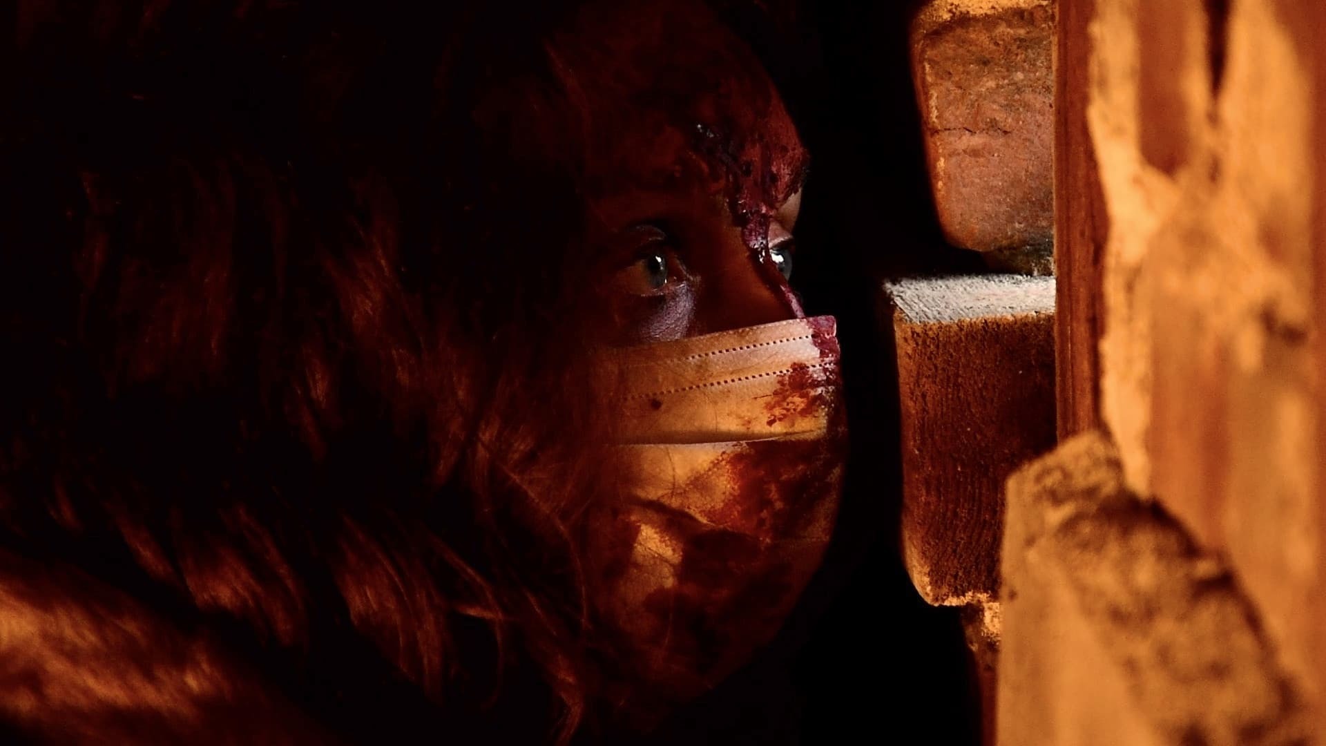 გენოციდი  ქართულად -  Genocidium