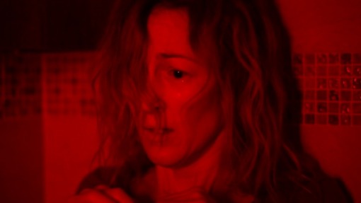 დაუდგრომელი ძვლები  ქართულად -  Wild Bones