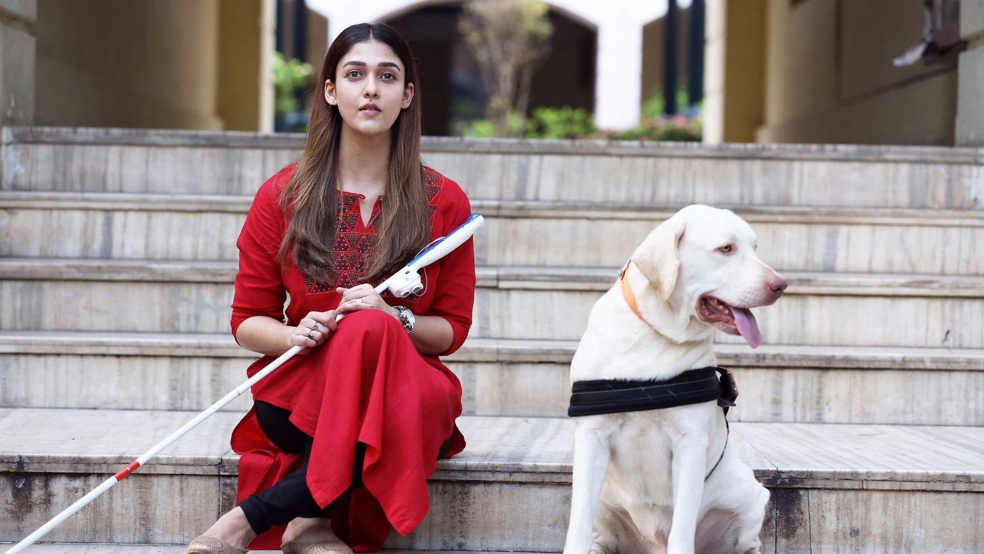 მესამე თვალი  ქართულად -  Netrikann