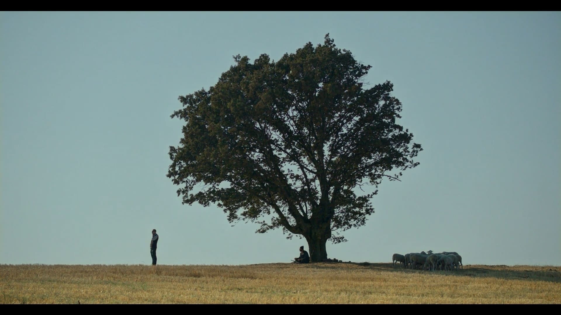 ვალდებულება ჰასან  ქართულად -  Commitment Hasan