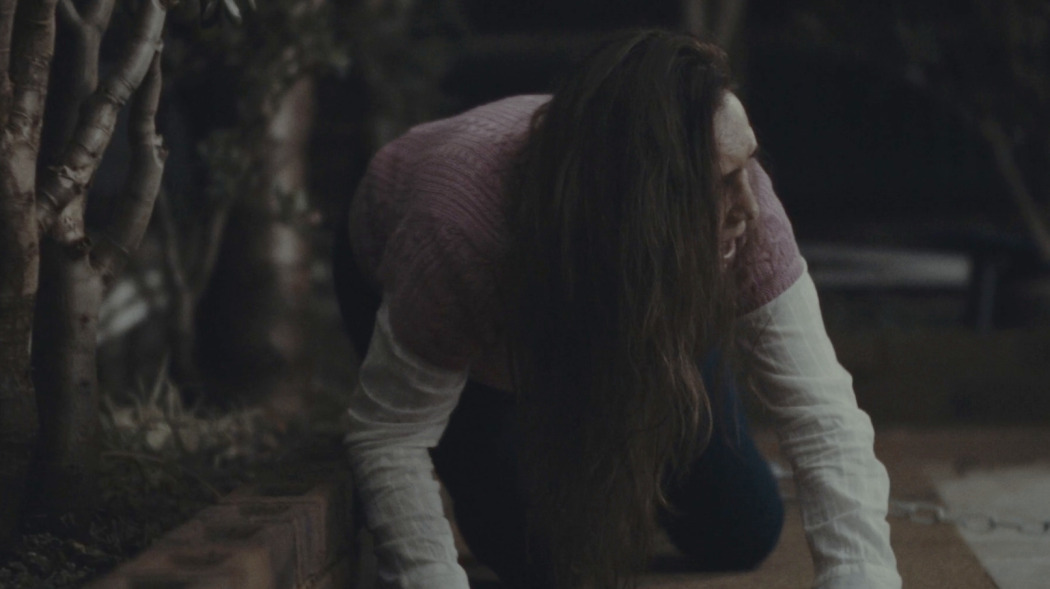 სისხლი წყალში  ქართულად -  Blood in the Water