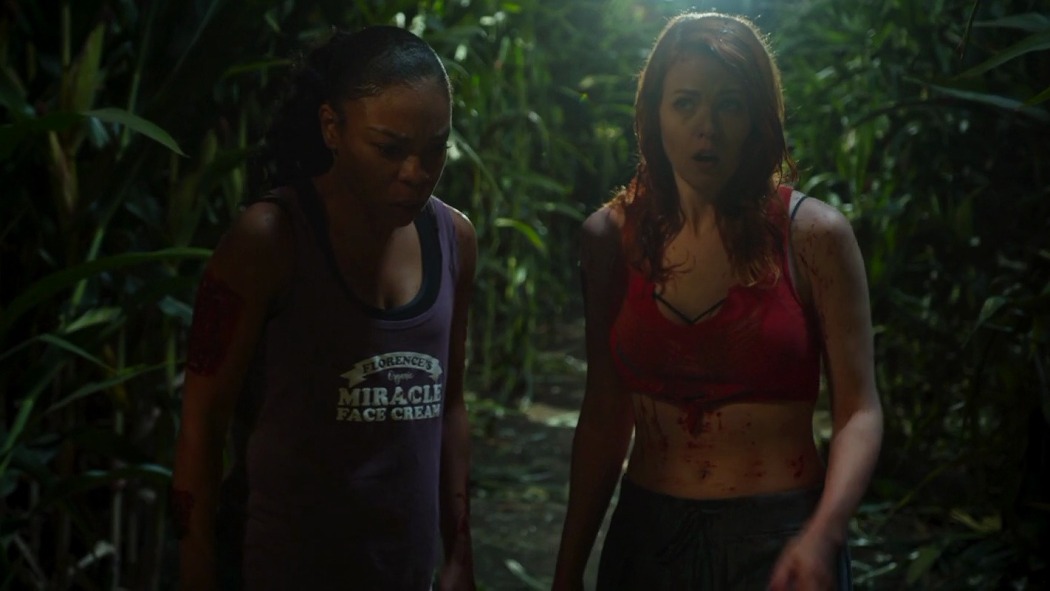 შიშის ფერმა 2  ქართულად -  Fear PHarm 2