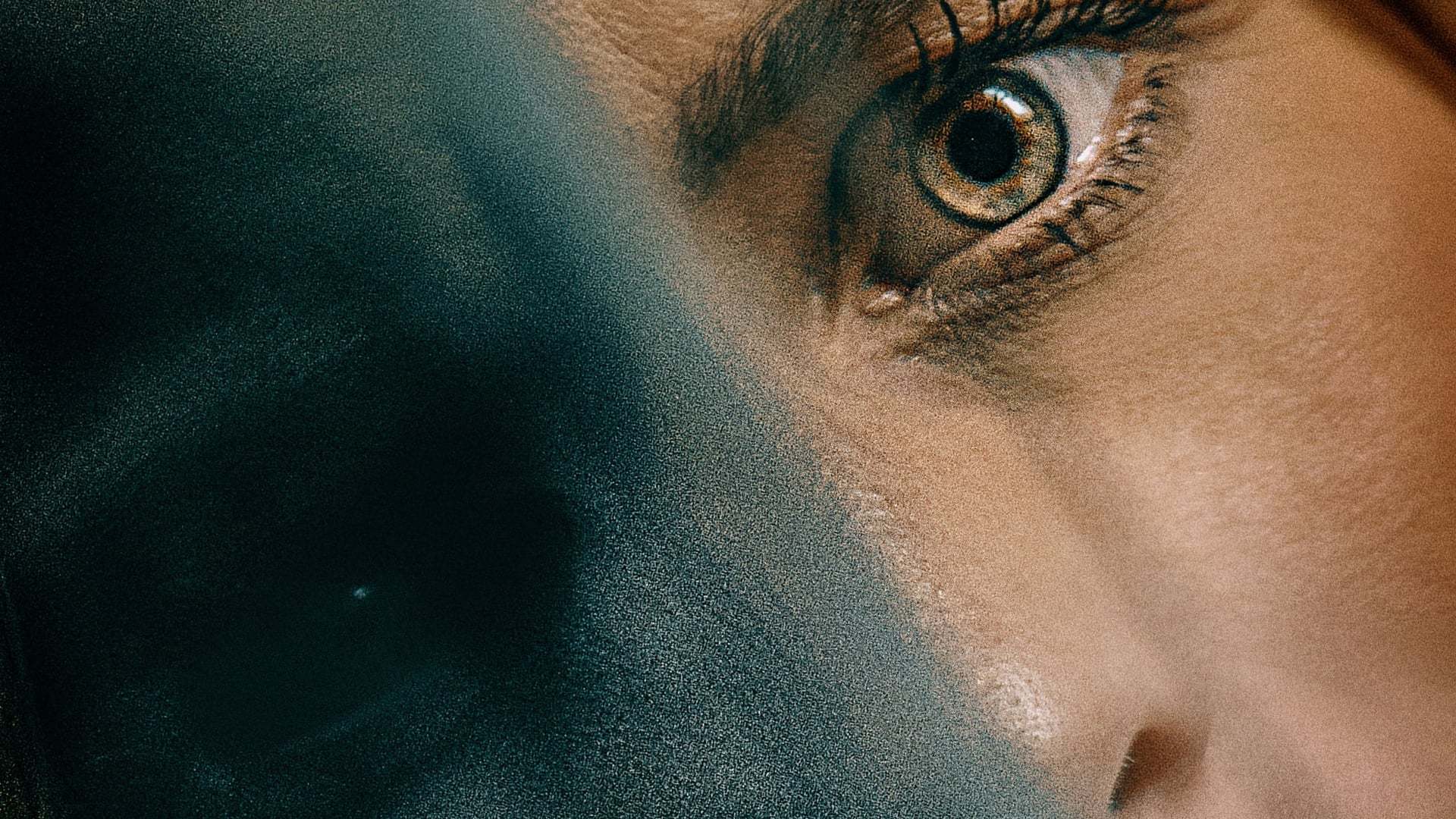 გადაცემა  ქართულად -  Transference