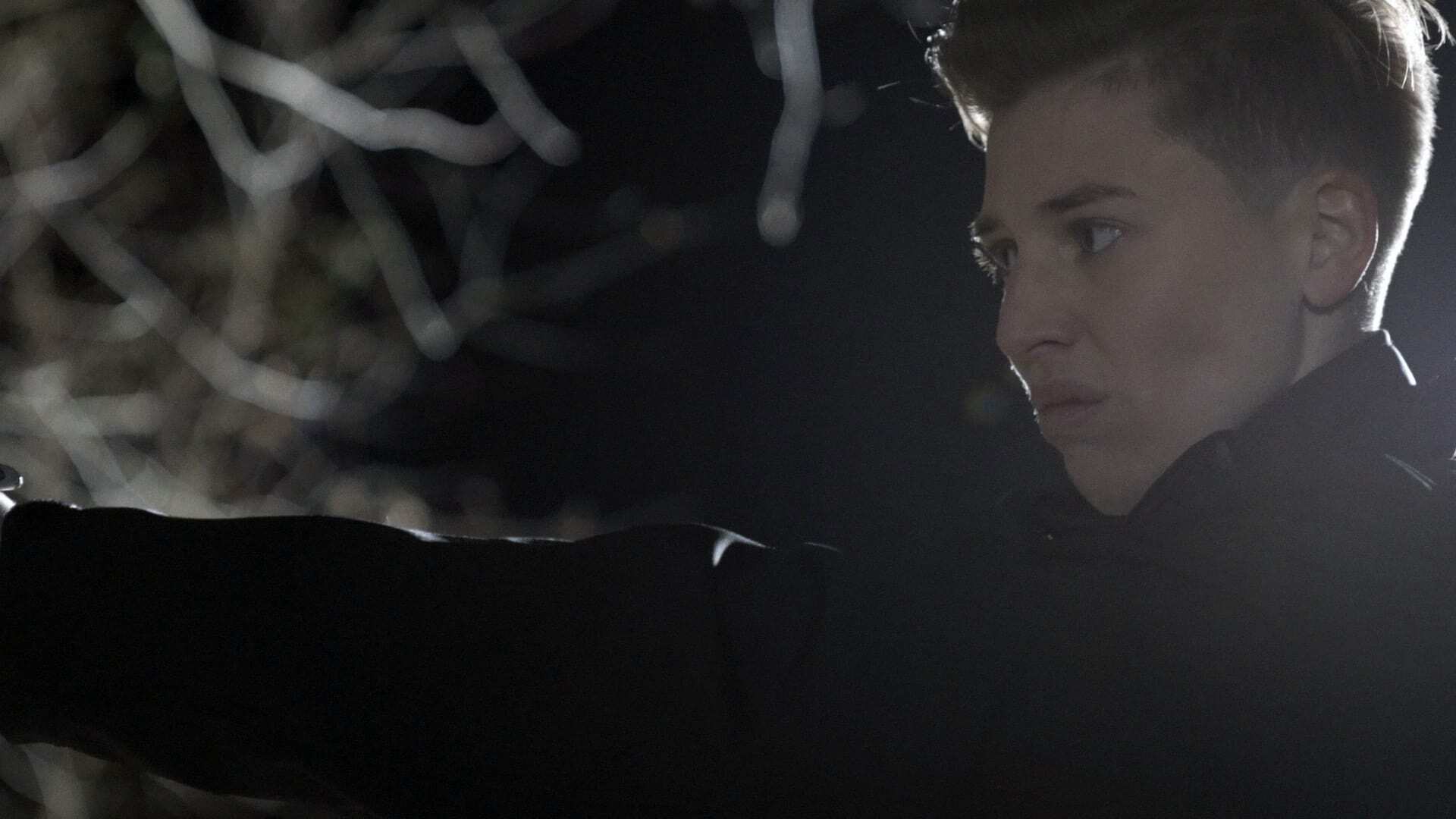 ჰარმონია  ქართულად -  Harmony