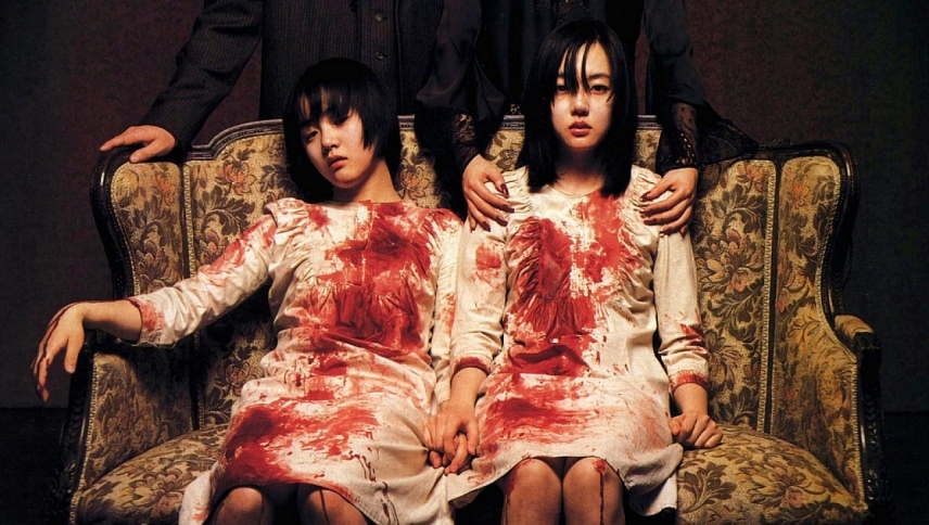 ორი დის ამბავი  ქართულად -  A Tale of Two Sisters