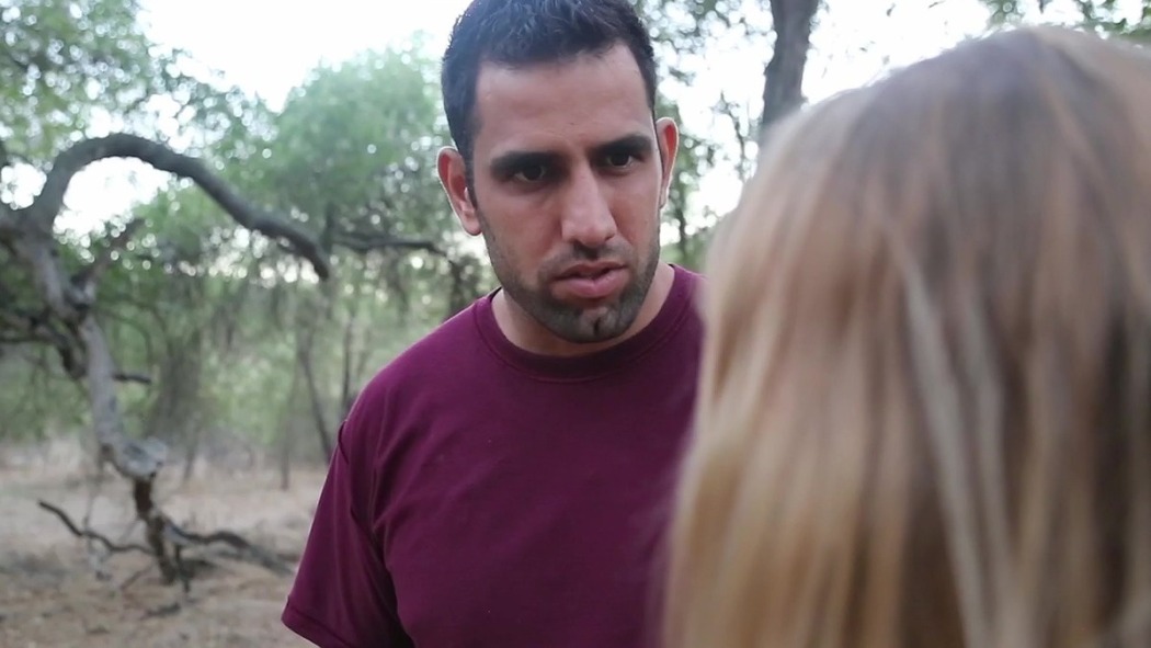 Lost in Terra Dimension