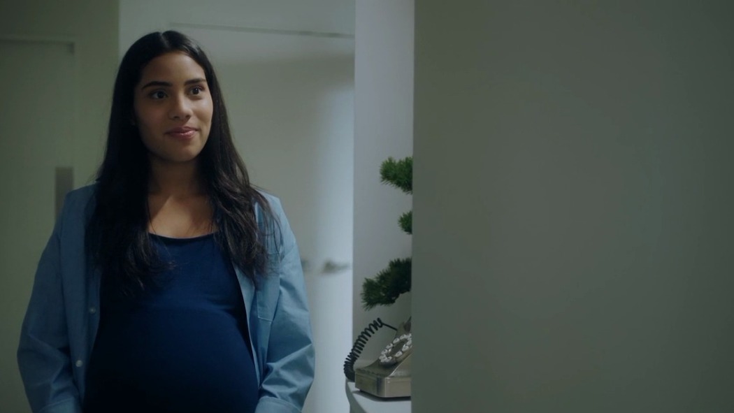 გოგონა ფანჯარაში  ქართულად -  The Girl in the Window