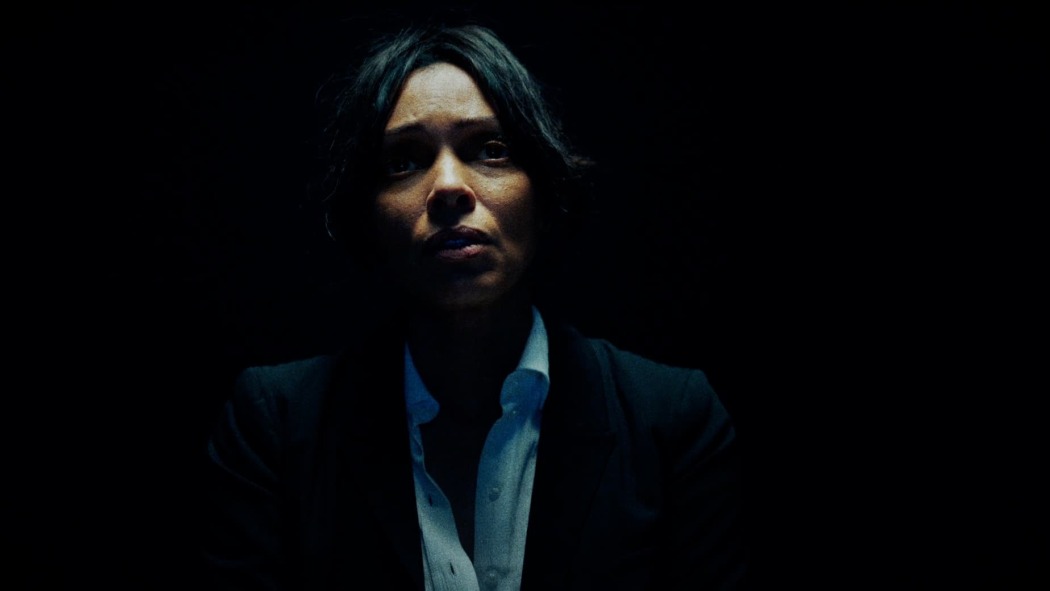 ჯაშუშის დღიური  ქართულად -  Diary of a Spy