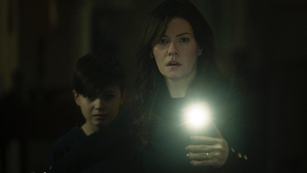 სარდაფი  ქართულად -  The Cellar