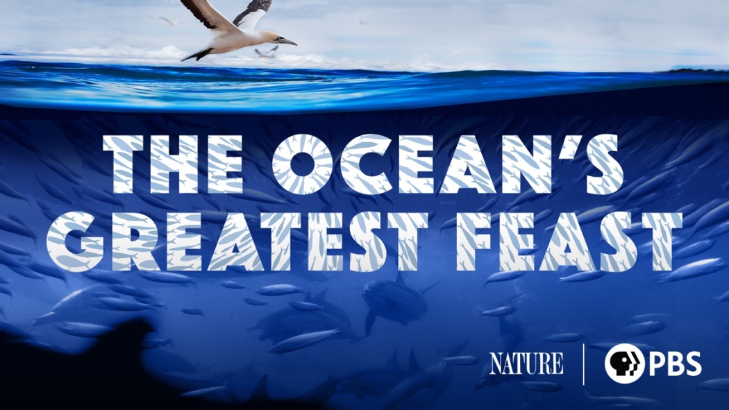 The Oceans Greatest Feast