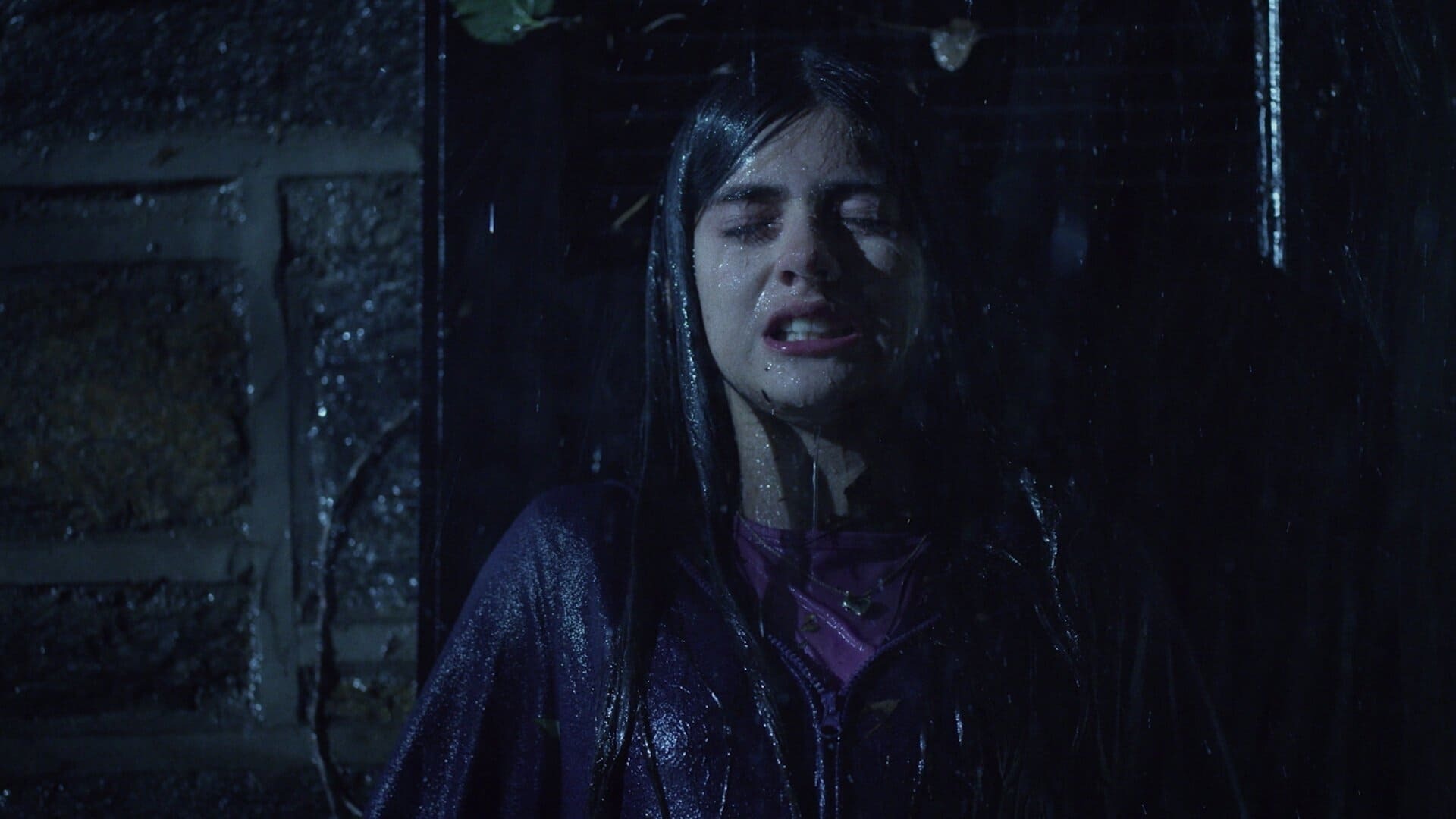 სიკარიოს ღამე  ქართულად -  Night of the Sicario