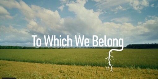 To Which We Belong