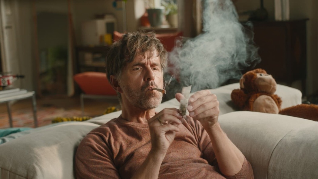 ეს მხოლოდ ფაზაა, ბაჭია  ქართულად -  Es ist nur eine Phase, Hase