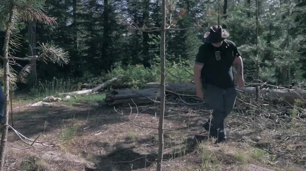 Bigfoot Encounters in the Pacific Northwest