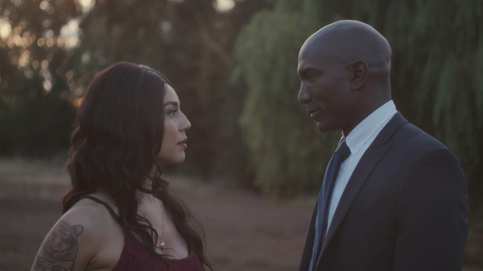 კონტრასტი  ქართულად -  The Contrast