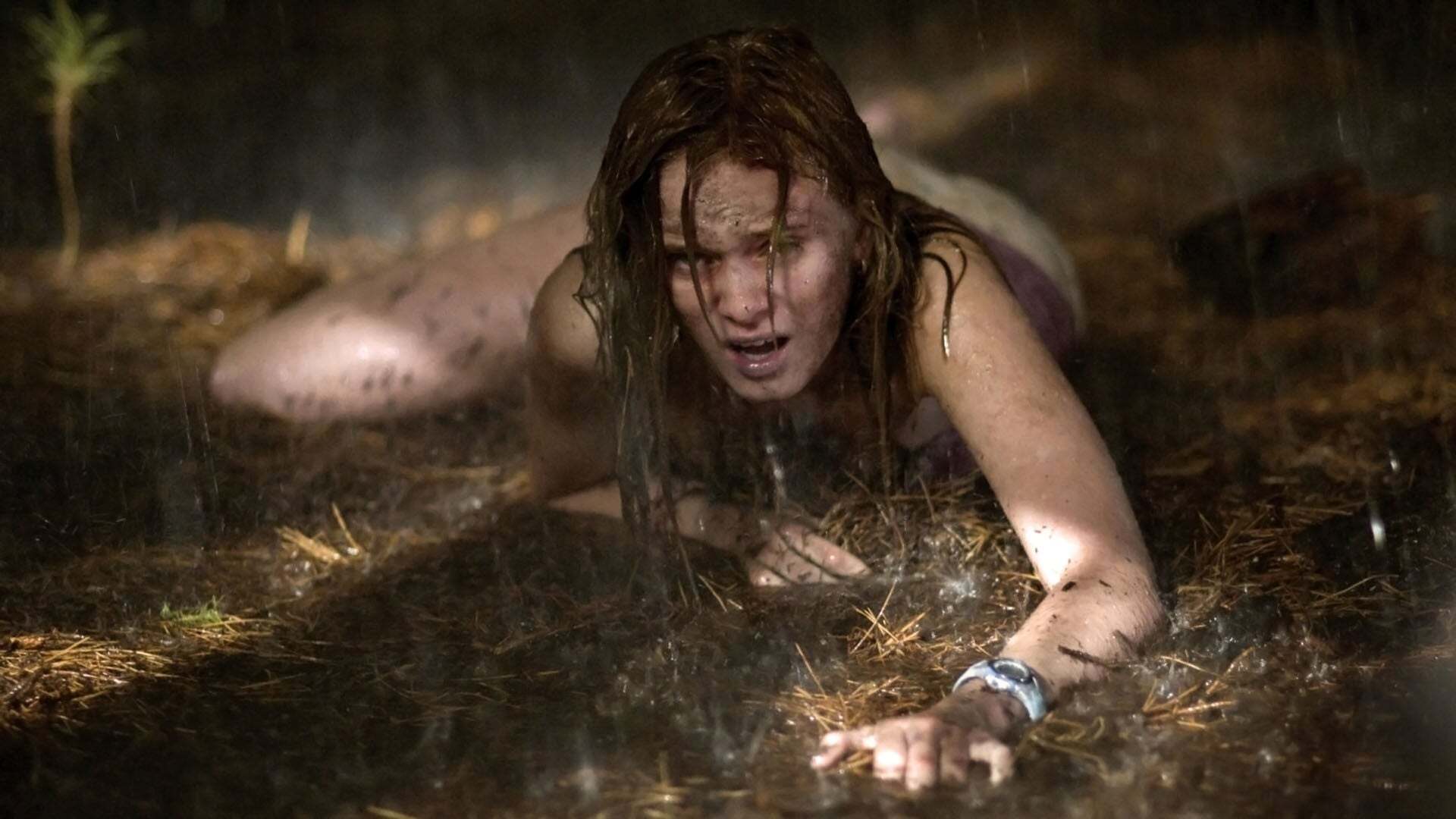 ბოლო სახლი მარცხნივ  ქართულად -  The Last House on the Left