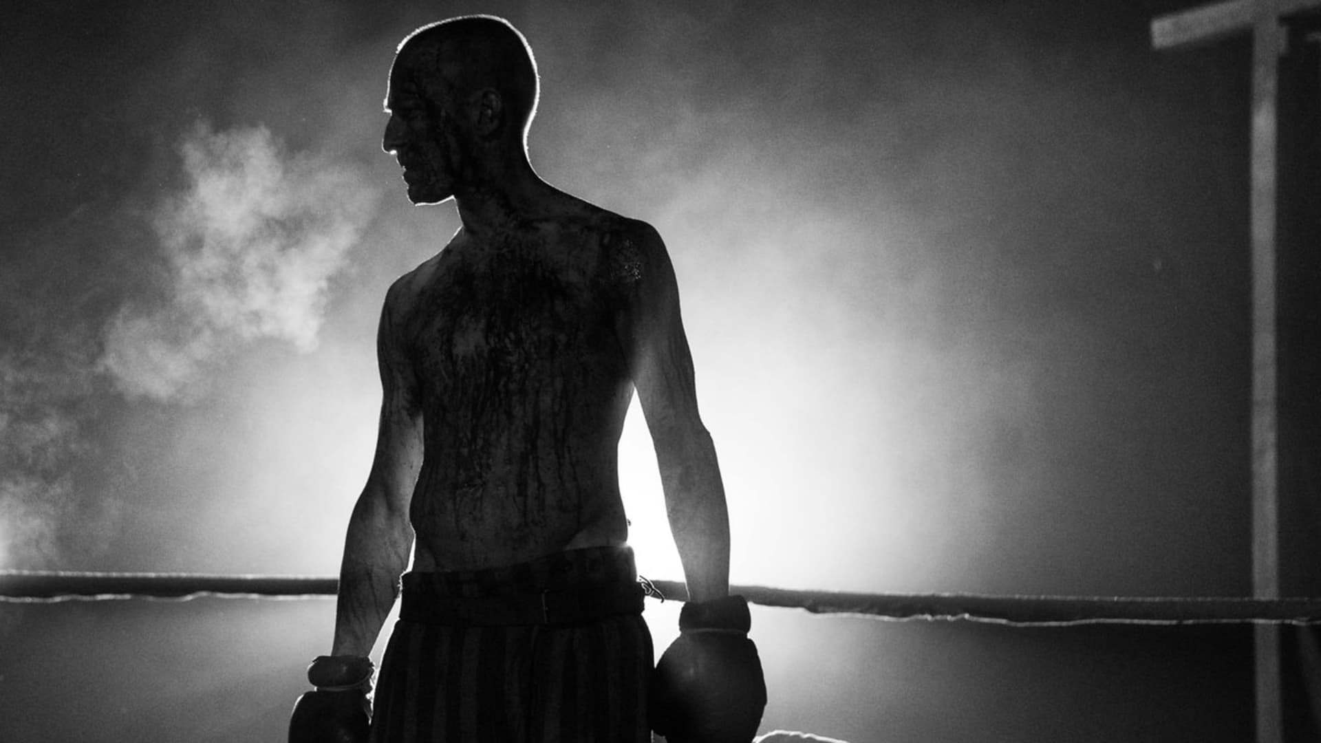 გადარჩენილი  ქართულად -  The Survivor