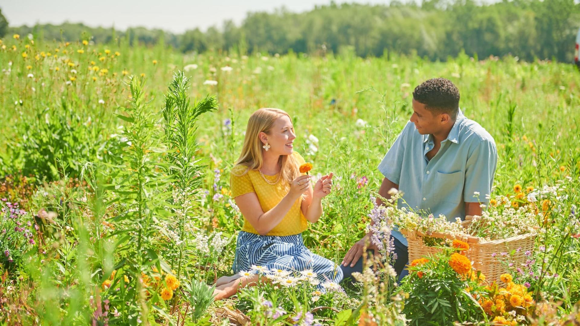 აკოცე მზარეულს  ქართულად -  Kiss the Cook