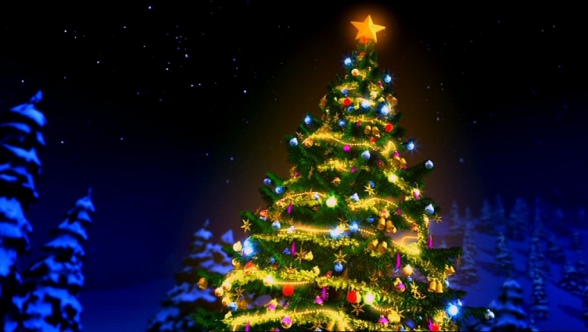 ბარბის იდეალური შობა  ქართულად -  Barbie: A Perfect Christmas