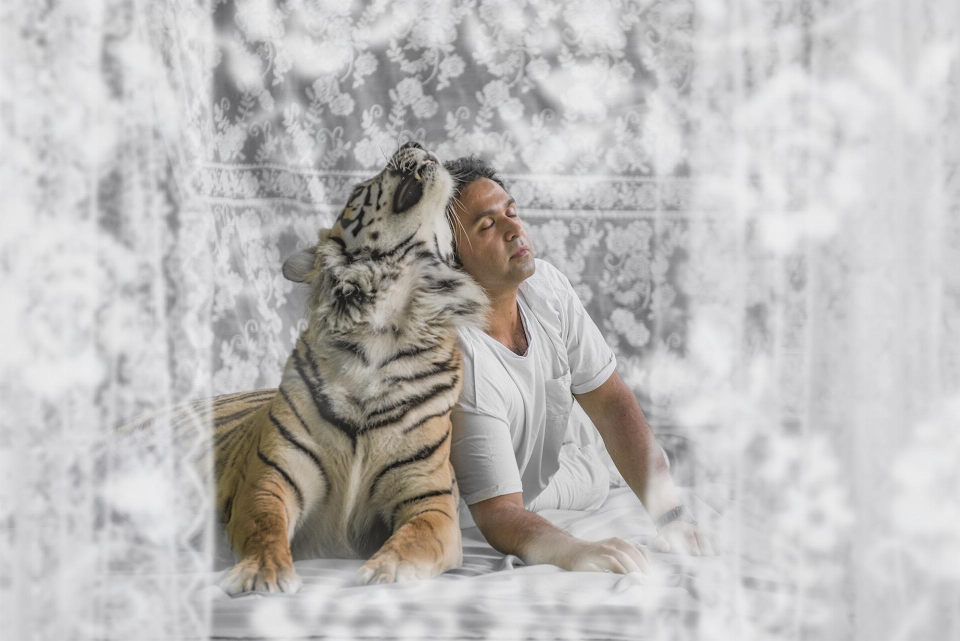 Maya  ქართულად -  Тигрица Майя