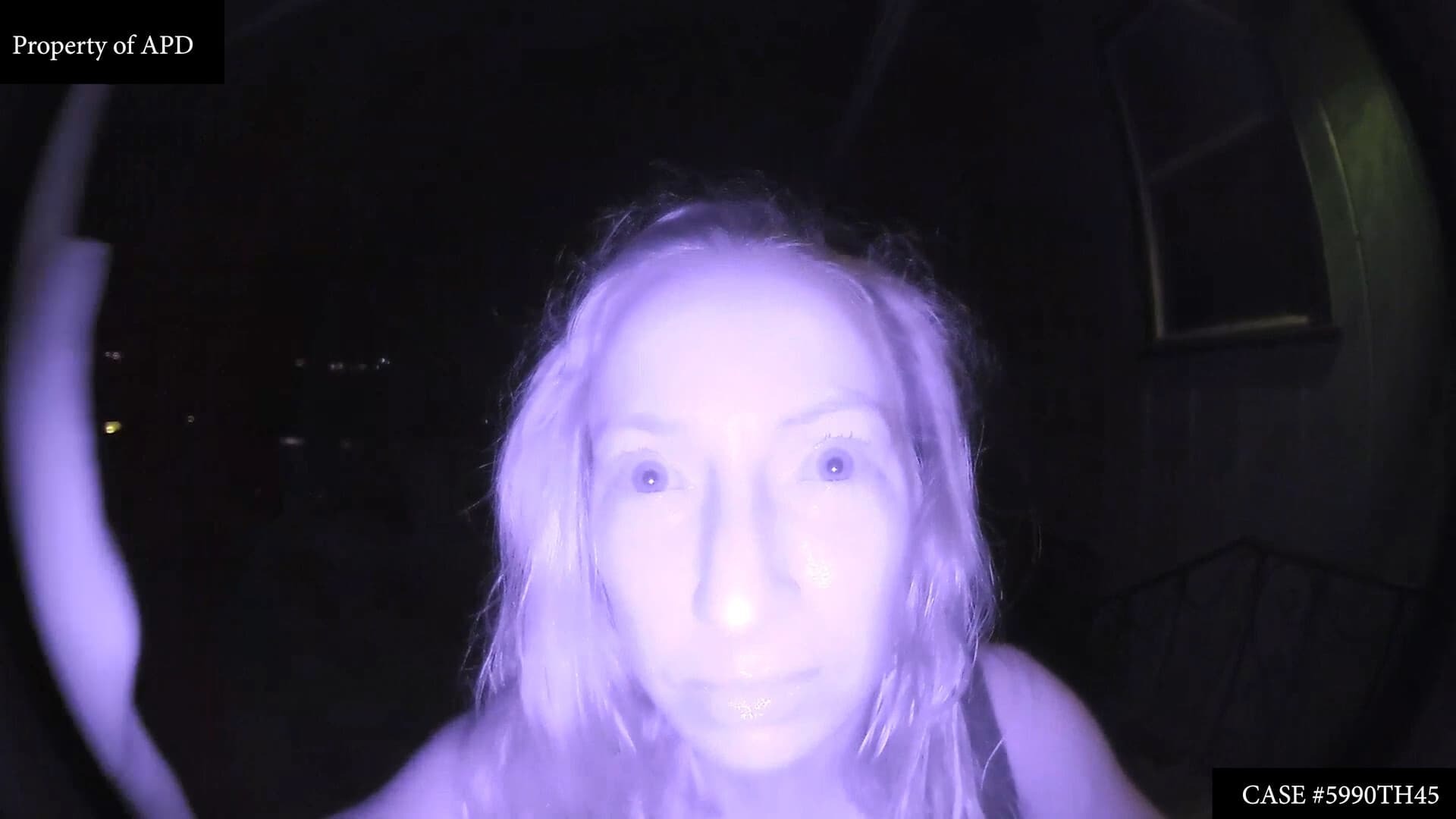 ლექსი  ქართულად -  Lexi