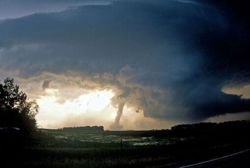 სასიკვდილო შემთხვევები  ქართულად -  Deadly Disasters