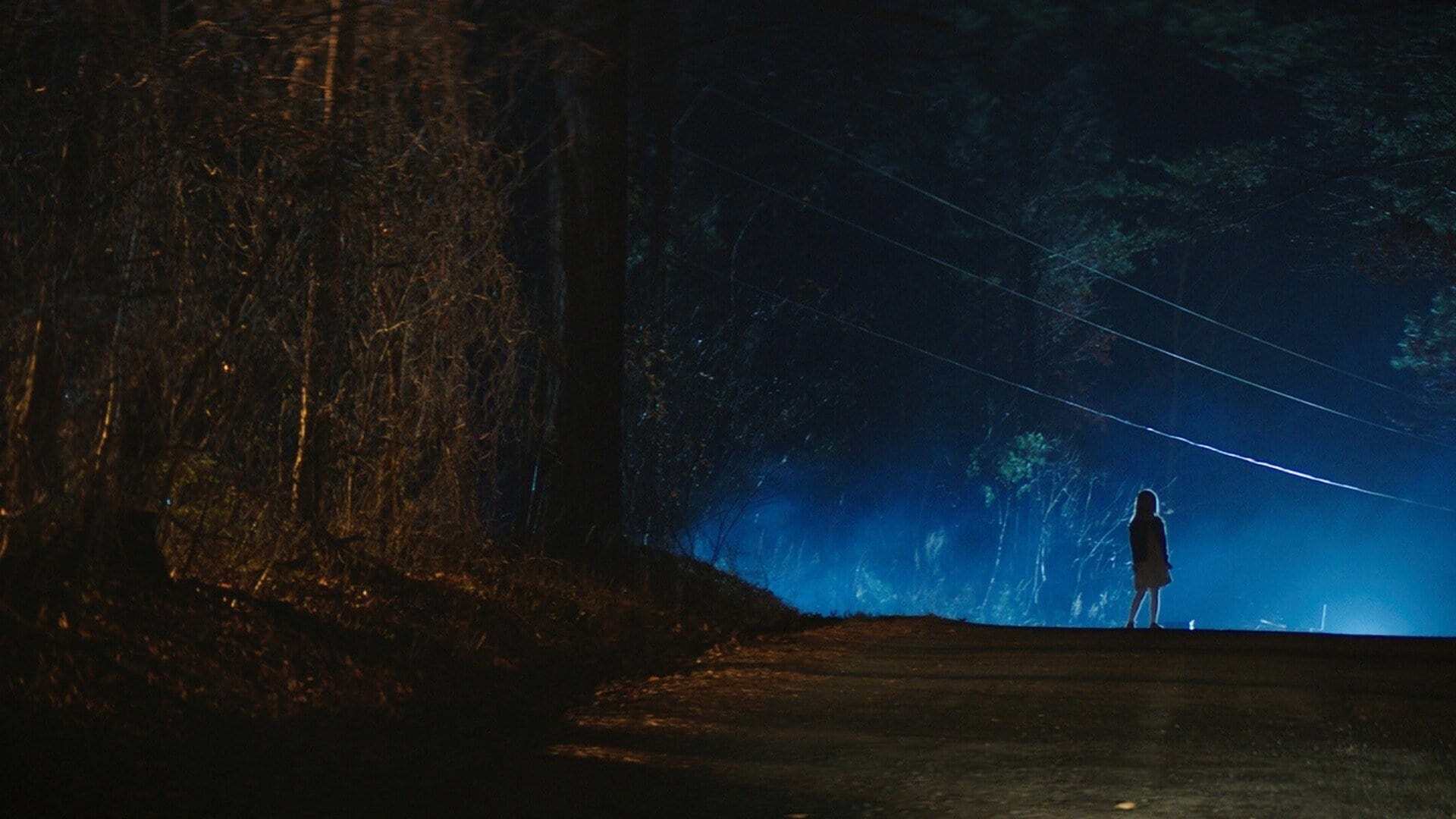 მუქი შუშის მიღმა  ქართულად -  Through the Glass Darkly