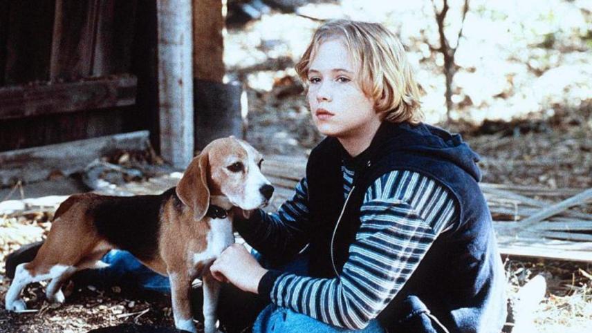 Shiloh  ქართულად -  Мой лучший друг Шейлок