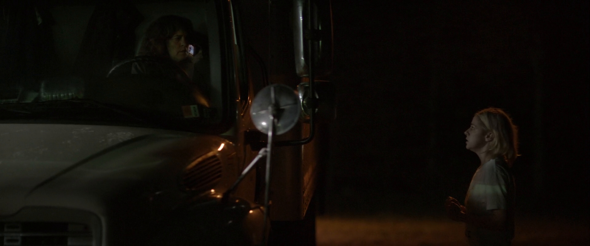 ნახვამდის ძვირფასო  ქართულად -  Goodbye Honey