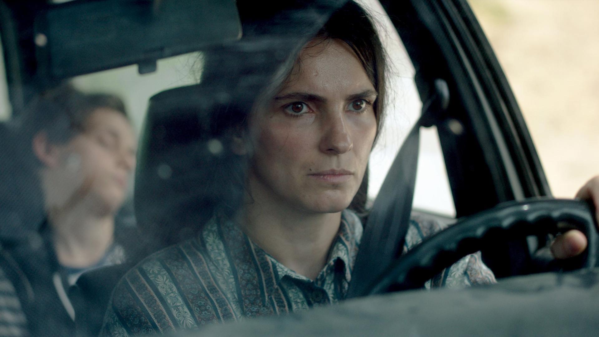 სკა  ქართულად -  Hive