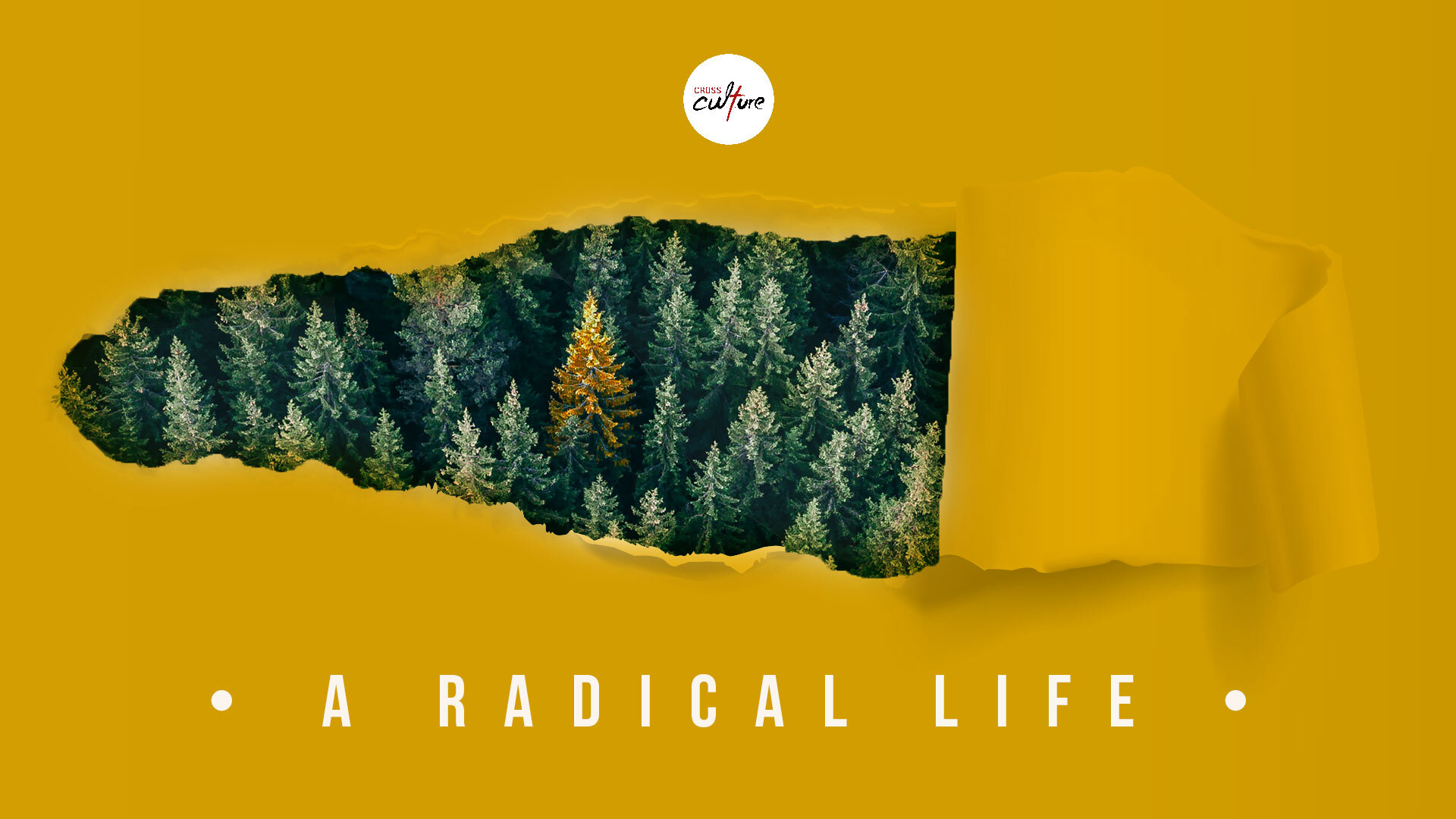A Radical Life