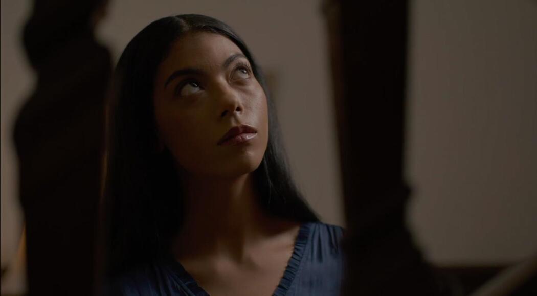 სასიკვდილო ზარი  ქართულად -  Deadly House Call