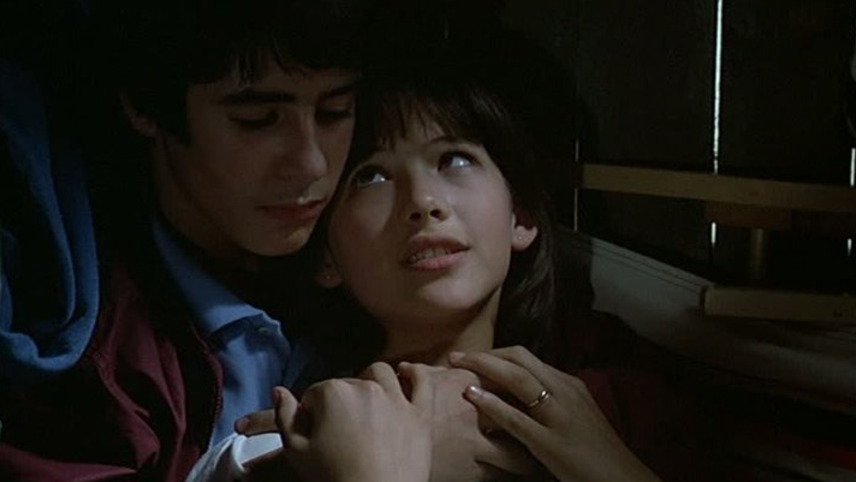 ბუმი  ქართულად -  The Party