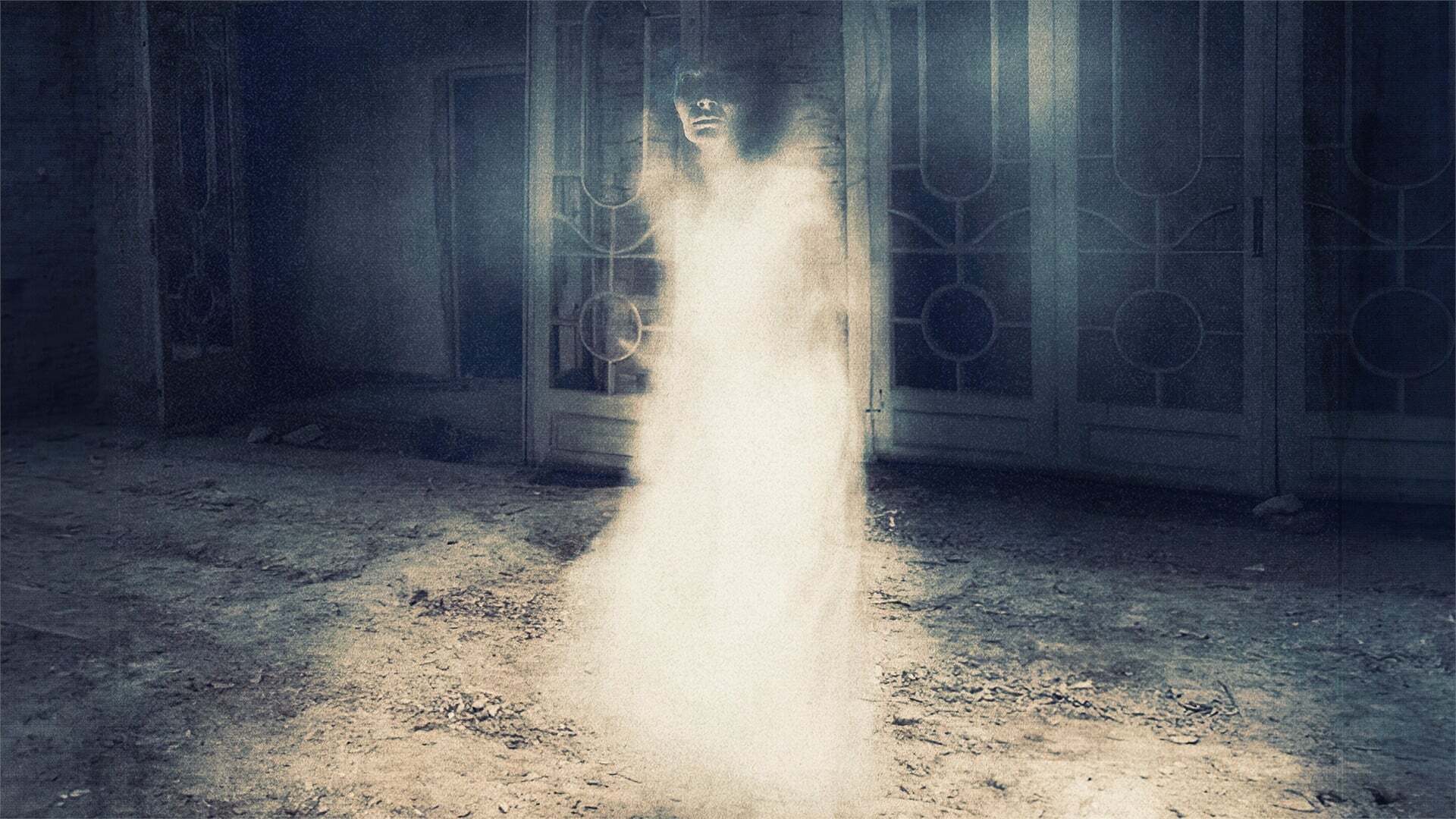 ორშაბათის აჩრდილები  ქართულად -  The Ghosts of Monday