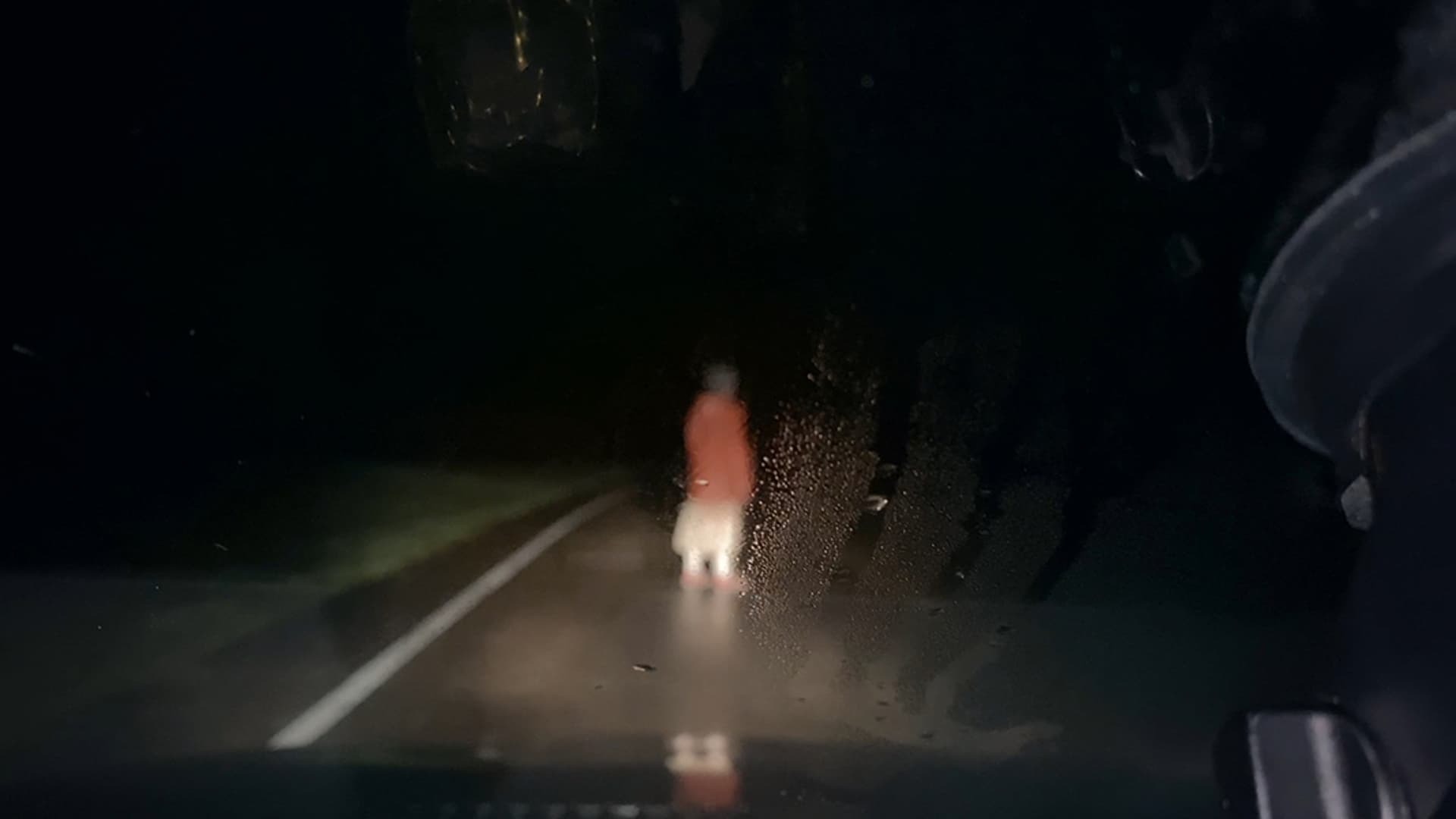 ვიდეოკამერა  ქართულად -  Dashcam