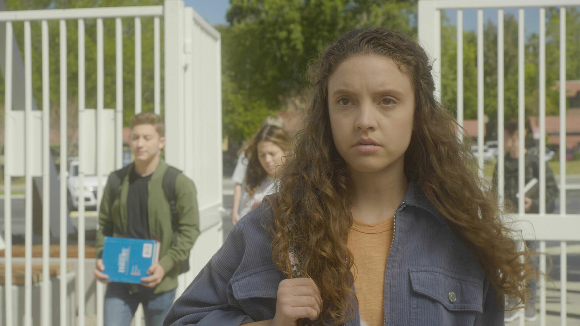 ქურდობა გარეუბანში  ქართულად -  Stealing in Suburbia