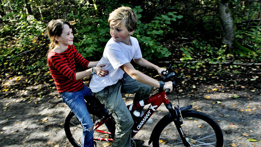 აბსოლუტურად რეალური სიყვარული  ქართულად -  Totally True Love