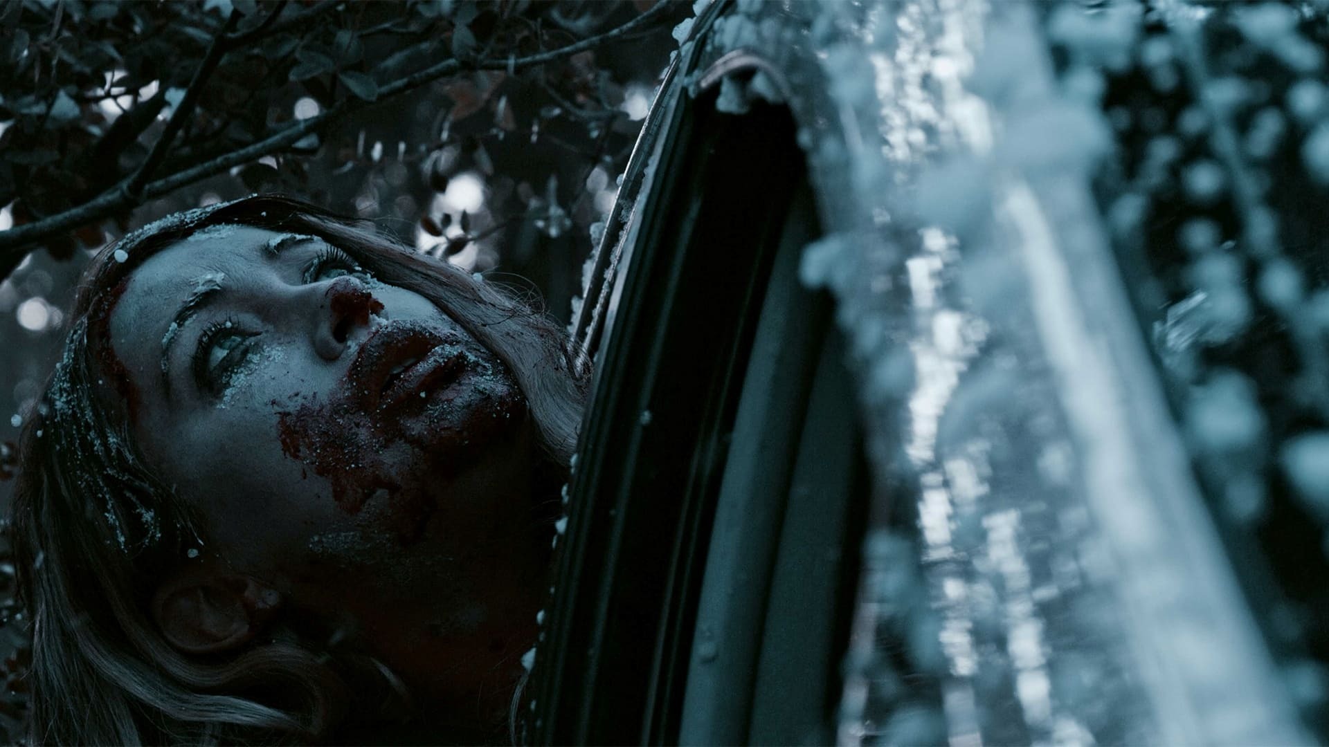 ყინვა  ქართულად -  Frost