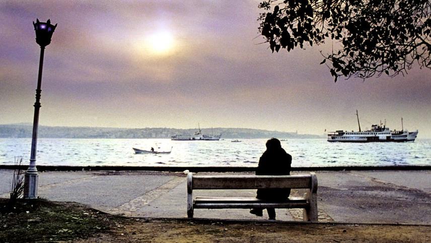 გარიყვა  ქართულად -  Distant