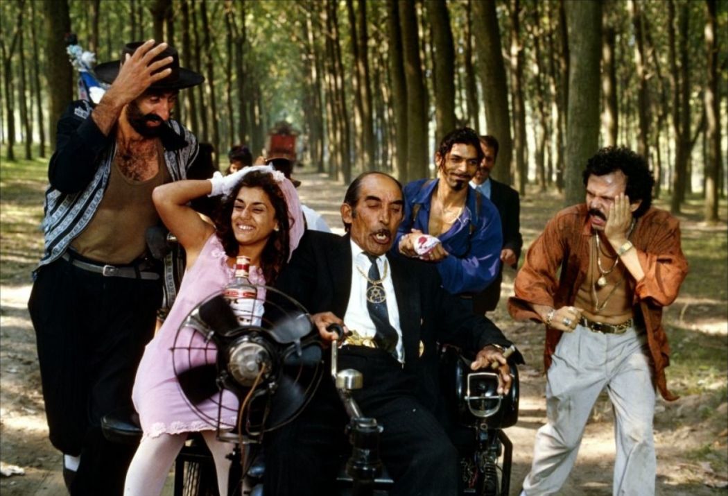 შავი კატა, თეთრი კატა  ქართულად -  Black Cat, White Cat