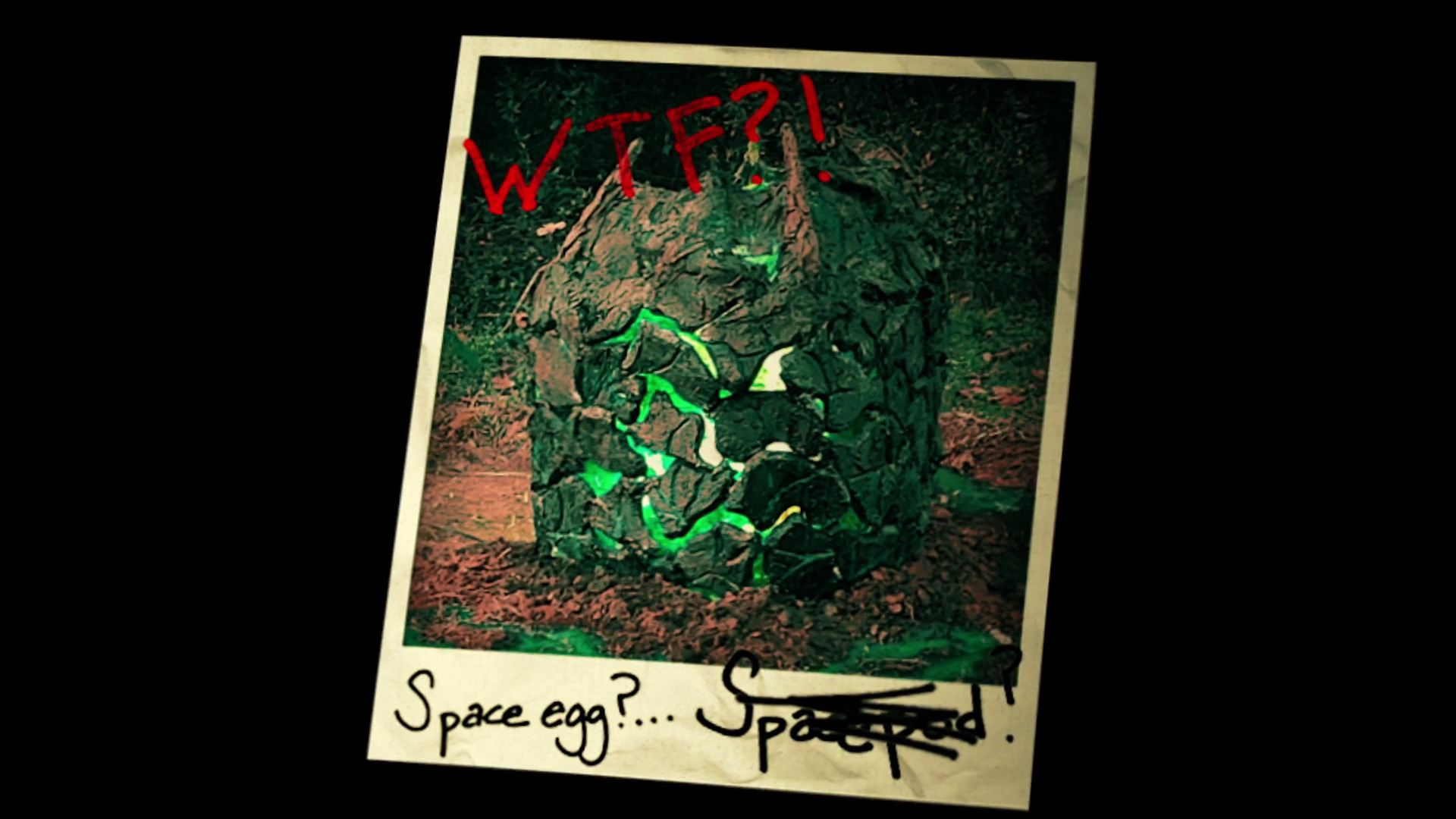 Night of the Falling Stars