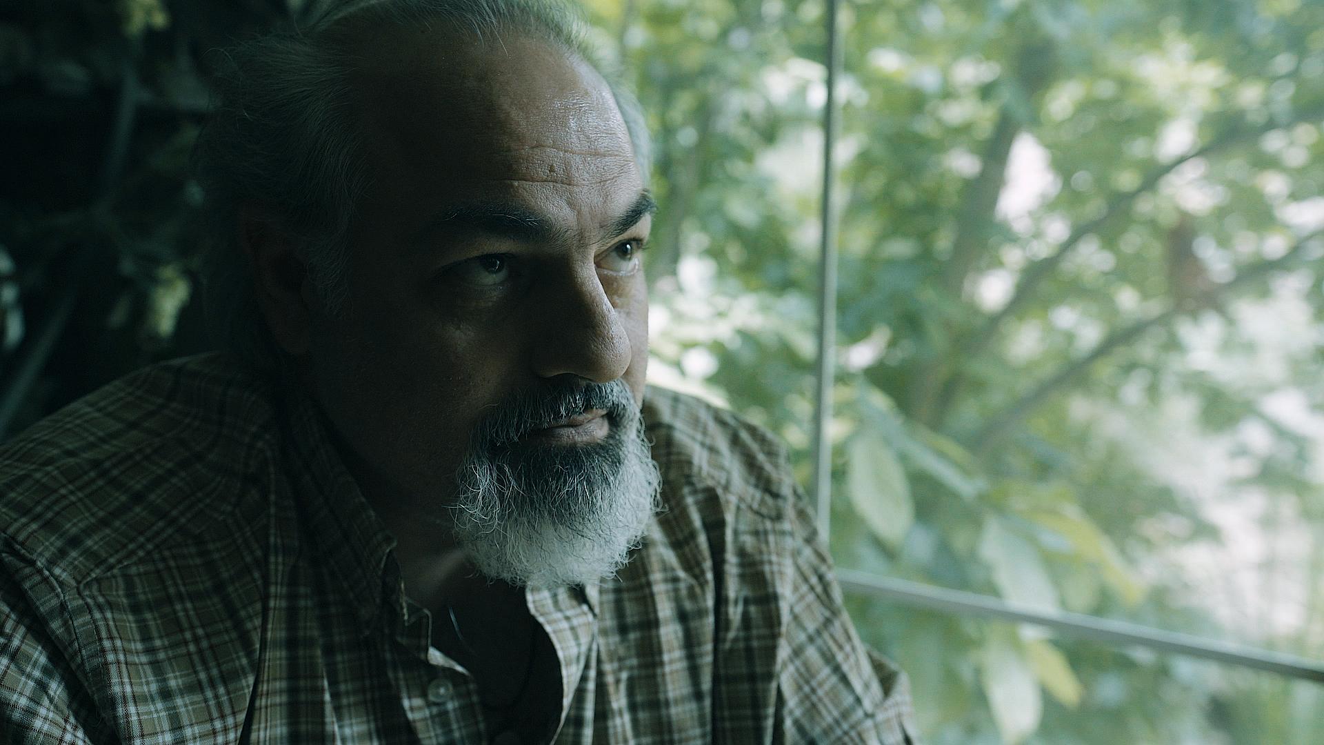 ფლეტვუდი  ქართულად -  Flatwoods